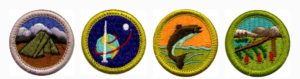 camping nature badges